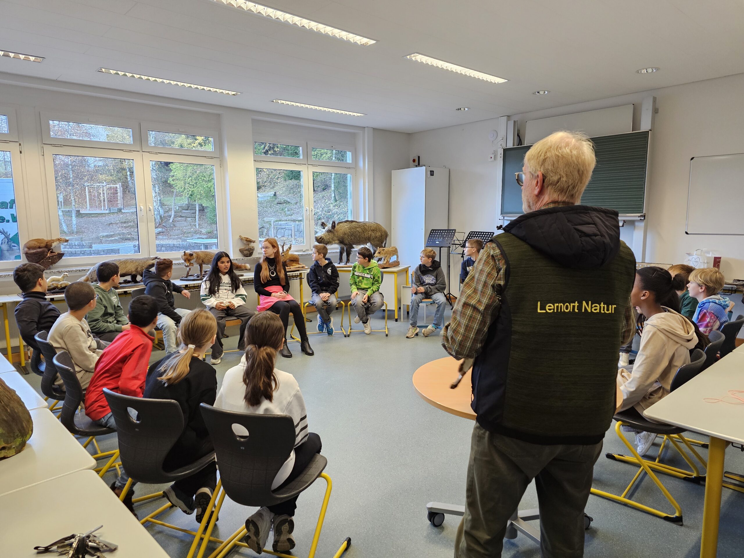 Mehr über den Artikel erfahren Die Rollende Waldschule: Einblicke in die heimische Natur