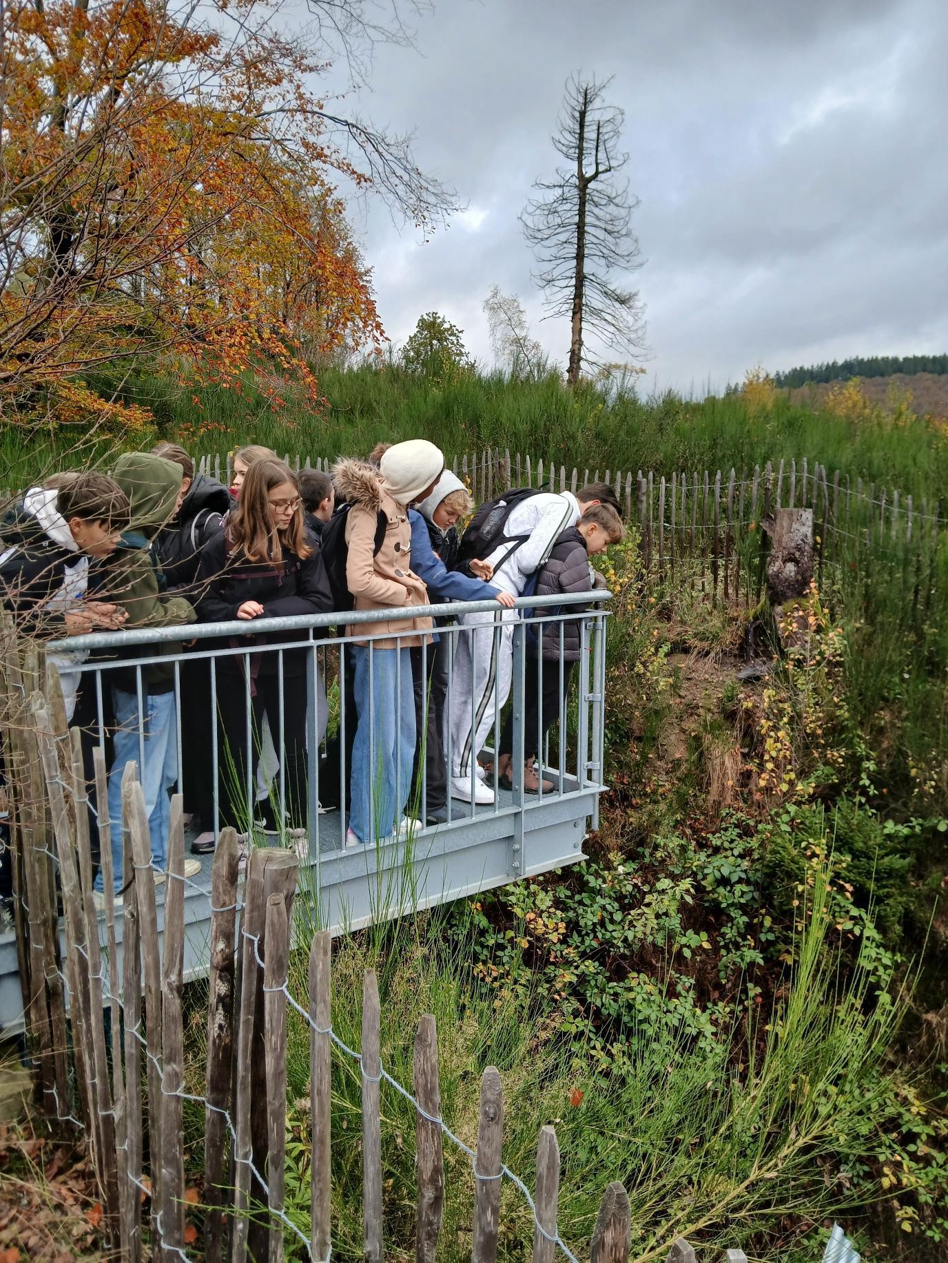 Mehr über den Artikel erfahren Bergbaugeschichte der Rhonard – Exkursion des 7. Jahrgangs