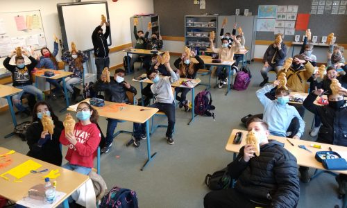 IMG_20201113_091657612-1